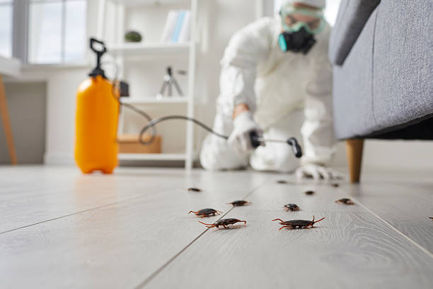 Commercial Kitchen Cockroach Control in West Pensacola